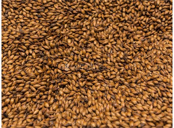 Red Crystal Malt - 1 kg Hel 400 EBC – Thomas Fawcett