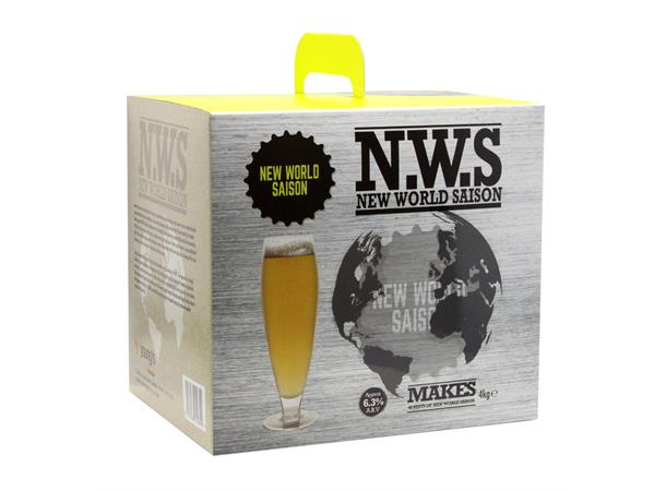 Youngs New World Saison 23L Ølsett