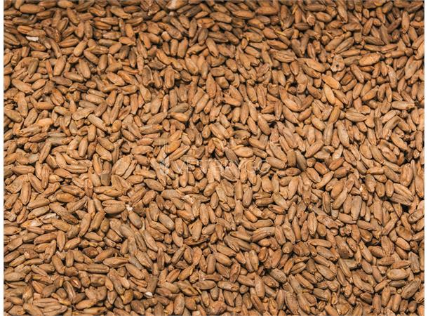 Rug / Rye Malt – 100g Knust 10 EBC – Thomas Fawcett