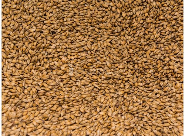 Carahell Malt – 25kg Sekk Hel 25 EBC – Weyermann