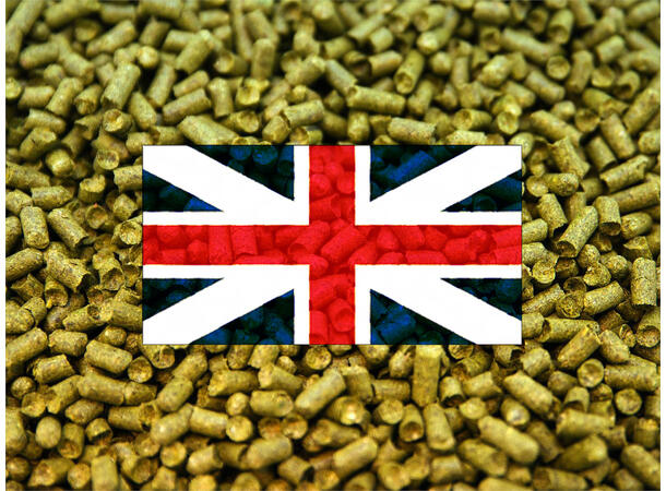 Challenger 2025 Humle Pellets - 100g UK- Storbritannia