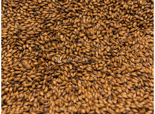 Red Crystal Malt – 1 KG Knust 400 EBC – Thomas Fawcett