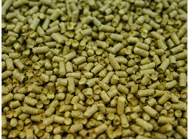 Goldings 2024 Humle Pellets - 100g