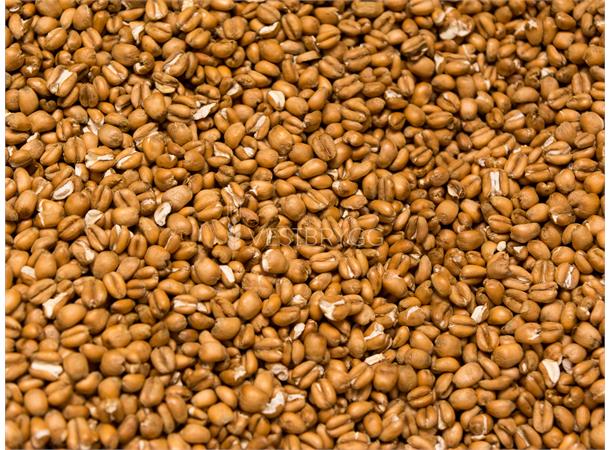 Terrified Wheat Malt - 1 kg Hel 3 EBC – Thomas Fawcett
