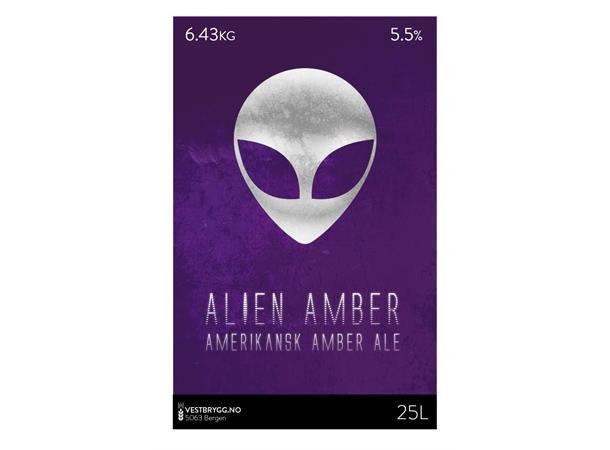 Vestbrygg Alien Amber Ale 25L Ølsett