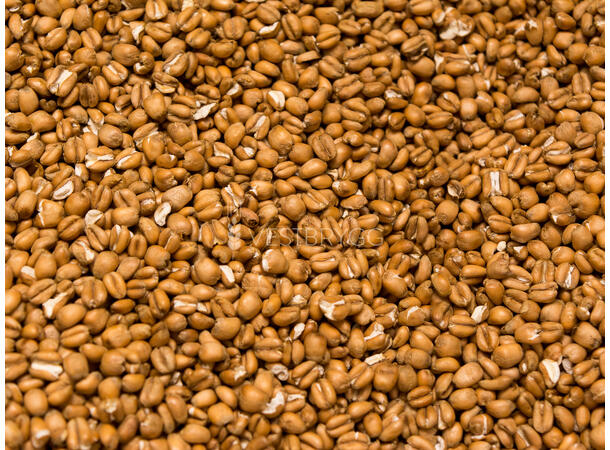 Torrefied Wheat Malt – 1 KG Knust 3 EBC – Thomas Fawcett