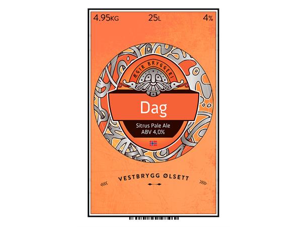 Ægir Dag Sitrus Pale Ale 25L Ølsett