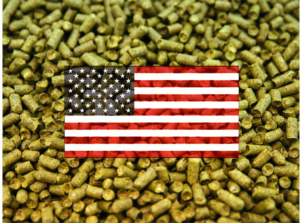 Mosaic 2025 Humle Pellets - 100g USA
