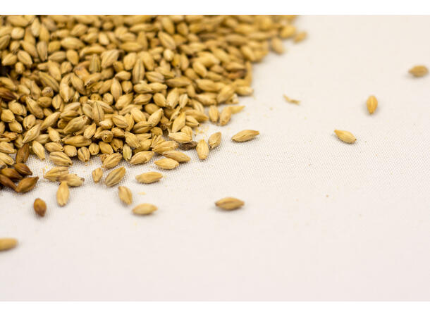 Kverning av malt (per kg) Oppskrifter fra Web