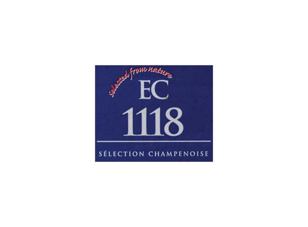 Lalvin EC-1118 Champagne 500g Dry Wine Yeast