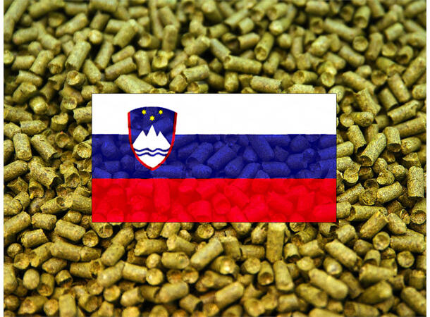 Styrian Golding Humle Pellets - 100g Slovenia