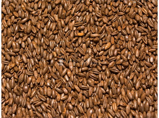 Roasted Rye Malt - 1 kg Hel 650 EBC – Weyermann