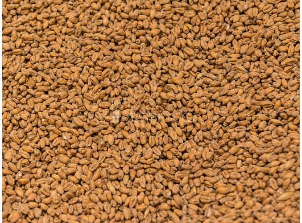 Oak Smoked Wheat Malt - 1 kg Hel 5 EBC – Weyermann